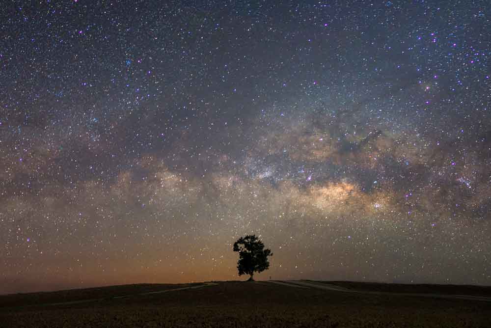 Beautiful dreamy milky way with a single tree and night starry sky.