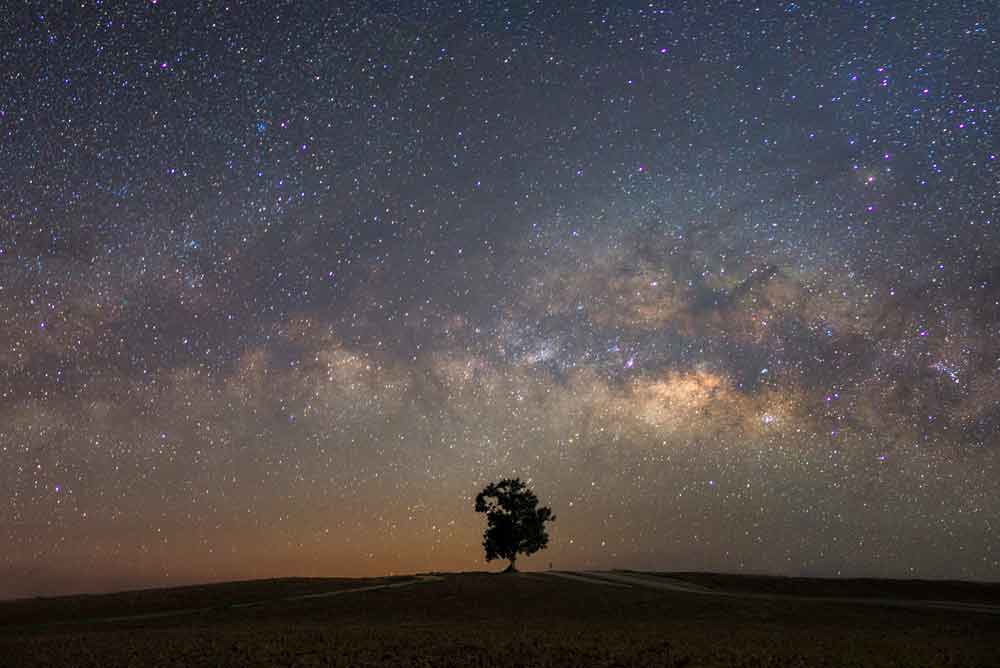 Cielo stellato e notturno dai toni sognanti con un unico albero.