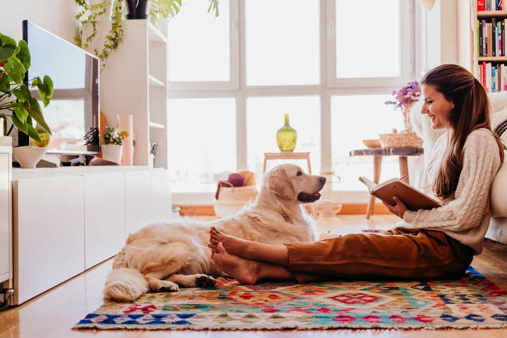 Eine schöne Frau genießt eine Tasse Kaffee während eines gesunden Frühstücks zu Hause und schreibt in ein Notizbuch, während ein bezaubernder Golden Retriever Hund neben ihr sitzt.