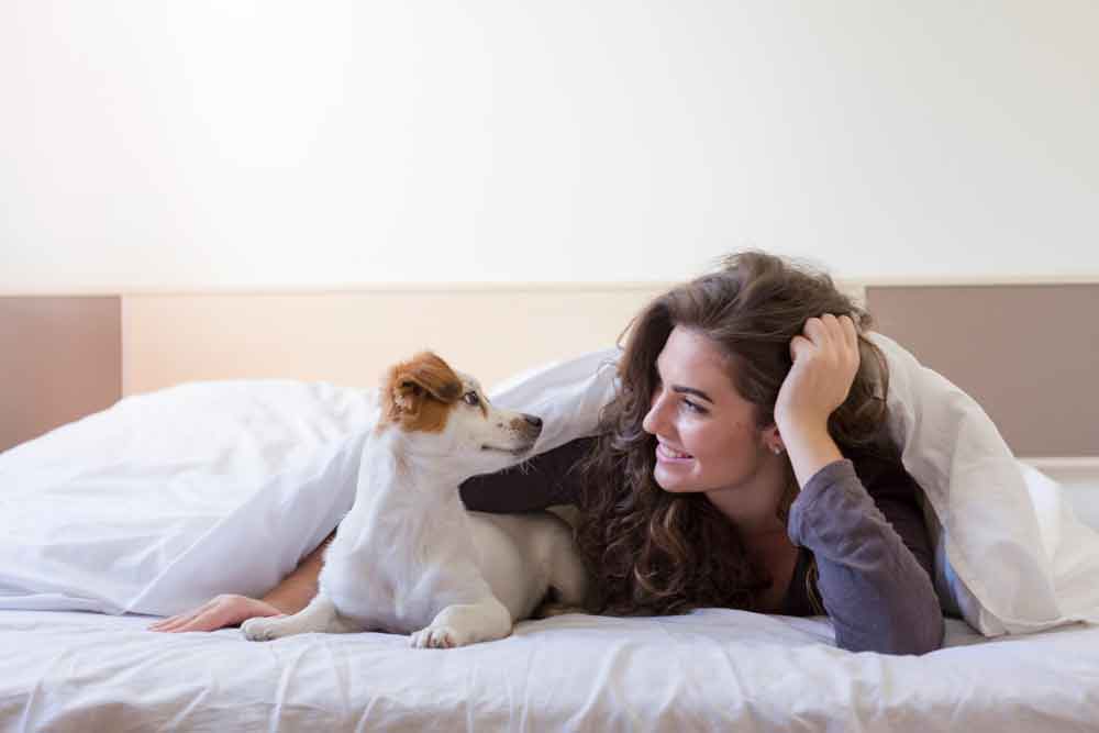 Beautiful young woman lying on bed under the white cover with her cute small dog.